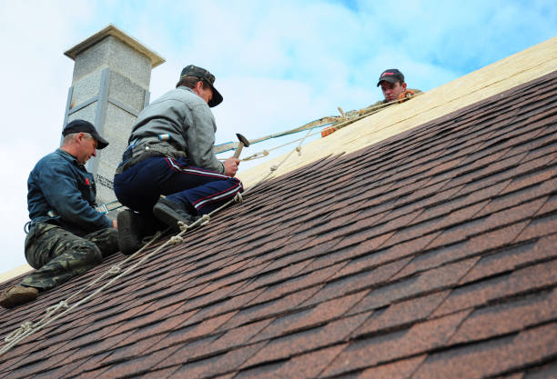 Professional Roofing Contractor in Exmore, VA